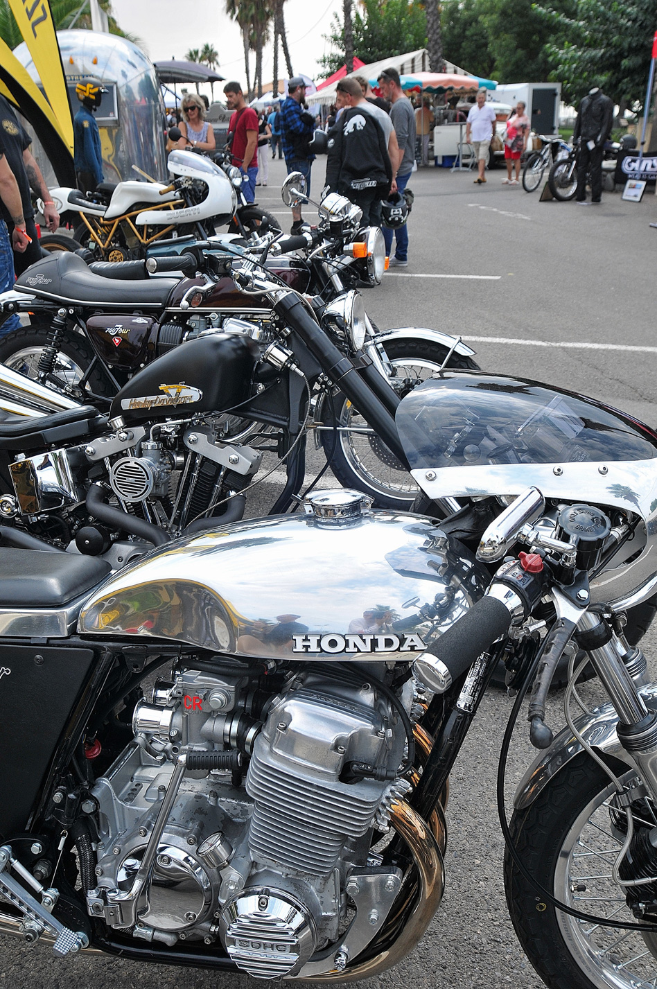 Dandy-Riders-Festival-2017-3 Dandy-Riders-Festival-2017-3