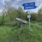 Pelli Colli