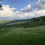 paysage1