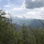 paysage2