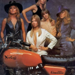 norton-wild